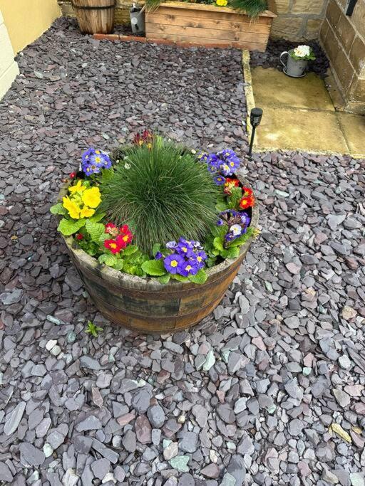 Quaint 1 Bedroom Cottage In Pudsey, Leeds 외부 사진